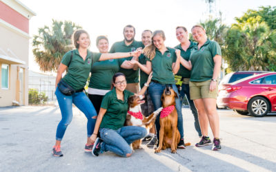 Memories of Great Dogs Last Forever – Dog and Puppy Trainers in Miami Florida